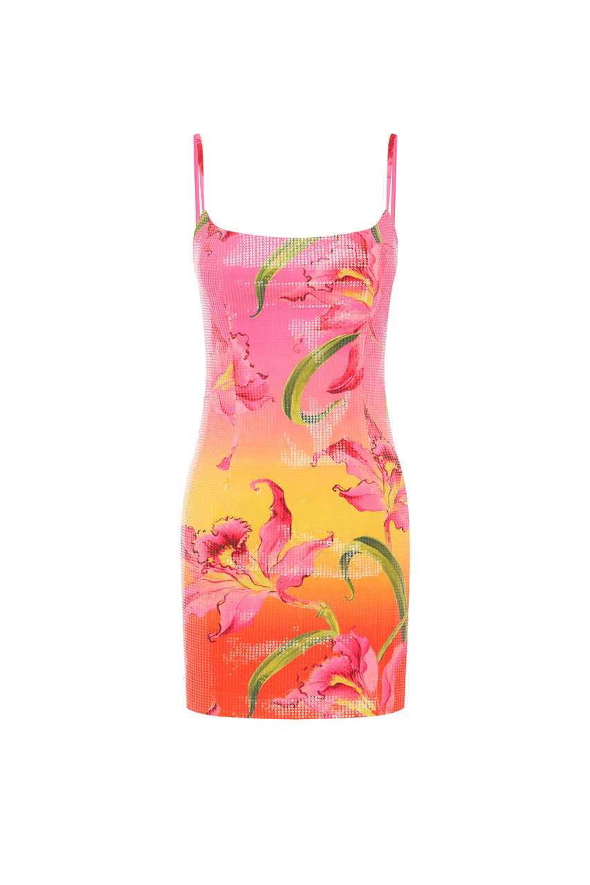 Deia Sequin Mini Dress in Floral Ombre